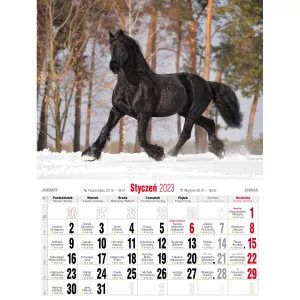 Kalendarz ścienny Avanti wieloplanszowy 230mm x 320mm (5901769620049)
