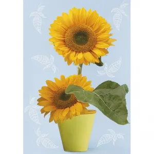 Bileciki do upominków, prezentów, kwiatów Pol-Mak 55 x 77 mm mix wzorów