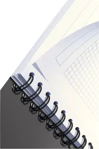 Kołozeszyt (kołobrulion) Leitz Office A4 90k. 90g krata 225mm x 297mm (44950015)