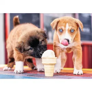 Puzzle Trefl Pora na lody 500 el. (37272)