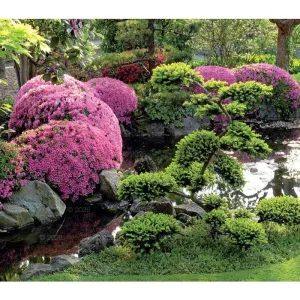 Kalendarz ścienny OGRODY RAJSKIE 13-planszowe 2024 320mm x 470mm Lucrum (RW11)