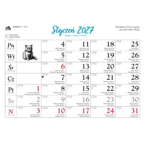Kalendarz ścienny KOTY I KOTKI 13-planszowe 320mm x 470mm Lucrum (RW9)