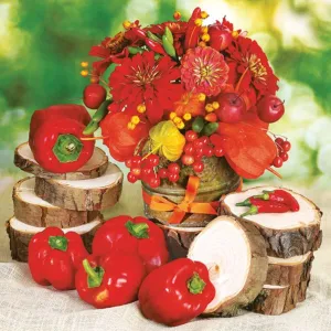 Serwetki mix bibuła [mm:] 330x330 Pol-mak (SL og)