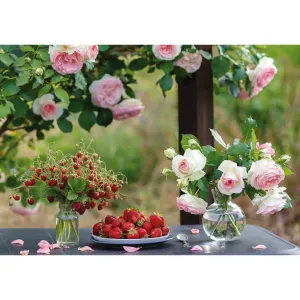 Kalendarz ścienny Avanti wieloplanszowy 285mm x 410mm (KA-11)