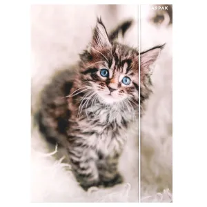 Teczka kartonowa na gumkę Kotki A4 mix Starpak (559717)