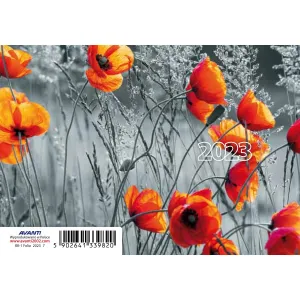 Kalendarz książkowy (terminarz) Avanti 70mm x 105mm (5901769620629)