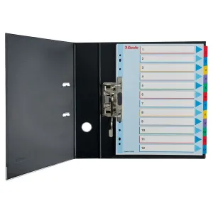 Przekładka numeryczna Mylar maxi A4 mix kolorów 160g 31k 1-31 Esselte (100210)