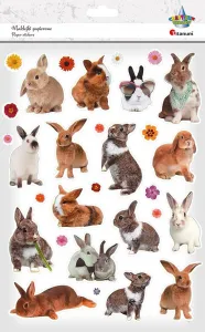 Naklejka (nalepka) Titanum Craft-Fun Series Rabbit