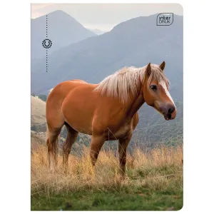 Zeszyt WILD HORSES A5 32k. 70g linia kolor Interdruk