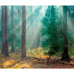 Kalendarz ścienny Lucrum 13-planszowe 320mm x 470mm (RW04)