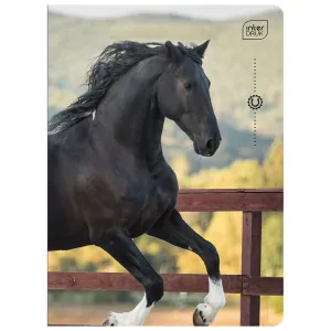 Zeszyt WILD HORSES A5 32k. 70g linia kolor Interdruk