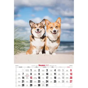 Kalendarz ścienny Avanti wieloplanszowy paskowy 285mm x 410mm (5901769621107)