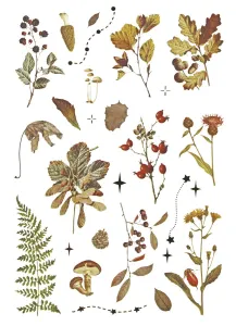 Naklejka (nalepka) Craft-Fun Series Naklejki foliowe 8 plansz Titanum (25YZ009)