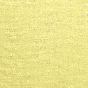 Papier ozdobny (wizytówkowy) A4 kremowy 190g Protos