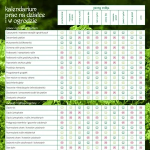 Kalendarz ścienny Avanti wieloplanszowy 300mm x 600mm (5901769620407)