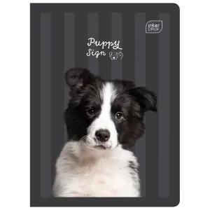 Zeszyt A5 PUPPY SIGN 32k. 70g linia kolor Interdruk