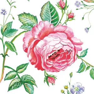 Serwetki mix bibuła [mm:] 330x330 Pol-mak (SL og)