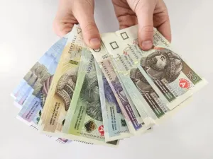 Zabawka edukacyjna pieniądze Multigra