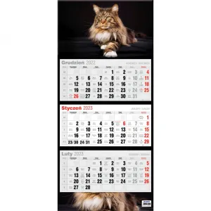 Kalendarz ścienny Avanti mix (5902641330056)