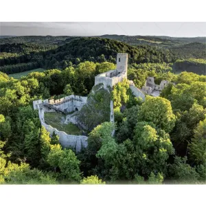 Kalendarz ścienny LASY POLSKIE 13-planszowe 2024 320mm x 470mm Lucrum (RW04)