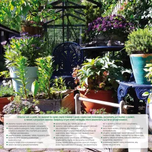 Kalendarz ścienny Avanti wieloplanszowy 300mm x 600mm (5901769620407)