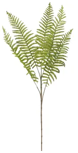 Kwiaty bukiet paproci 75cm Home And Garden (2545)