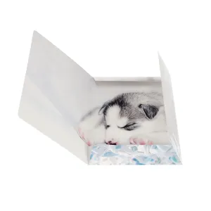 Teczka kartonowa na gumkę Pieski A4 mix Starpak (559719)