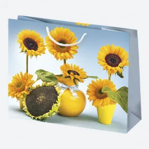 Torba prezentowa Pol-mak 300mm x 230mm x 100mm (T6)