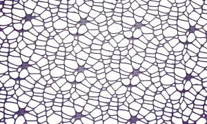 Ozdoba materiałowa Craft-Fun Series siatka koronkowa fioletowa Titanum (25CR0331-20)