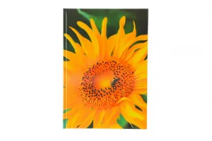 Brulion mix A4 160k. krata Sdm