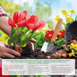 Kalendarz ścienny Avanti wieloplanszowy 300mm x 600mm (5901769620407)