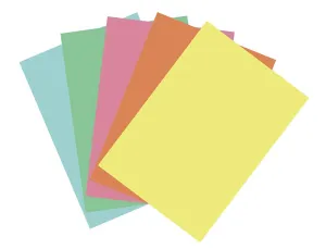 Papier ksero A4 pastelowy mix 100k. 80g Flamingo