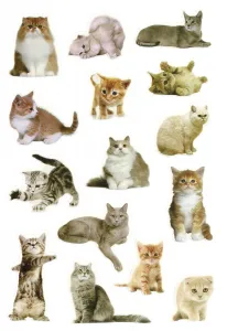 Naklejka (nalepka) Titanum Craft-Fun Series Koty (PPB01)