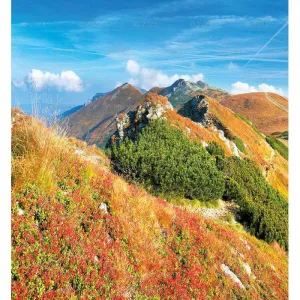 Kalendarz ścienny Lucrum 13-planszowe 320mm x 470mm (RW06)