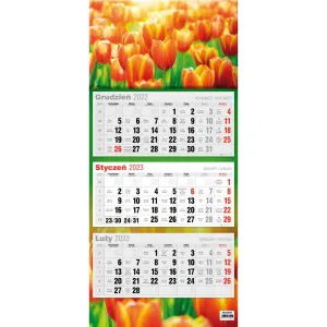 Kalendarz ścienny Avanti mix (5902641330056)