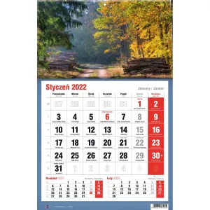 Kalendarz ścienny Avanti trójdzielne (5901769620582)