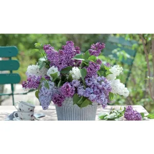 Kalendarz ścienny notatnikowy 2024 KOMPOZYCJA KWIATOWE 220mm x 490mm Lucrum (WN02)