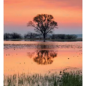 Kalendarz ścienny MAGICZNA POLSKA 13-planszowe 2024 320mm x 470mm Lucrum (RW02)