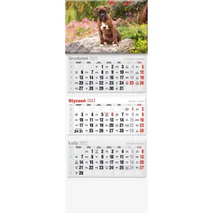 Kalendarz ścienny Avanti trójdzielne (5901769620568)