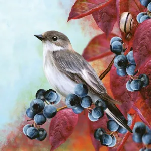 Serwetki mix bibuła [mm:] 330x330 Pol-mak (SL og)