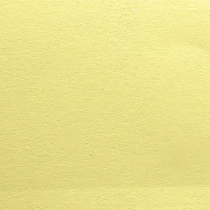 Papier ozdobny (wizytówkowy) Protos Gładki A4 - kremowy 100g