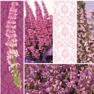 Serwetki Pol-mak - mix 330mm x 330mm (Sd)
