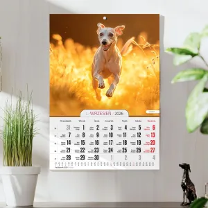 Kalendarz ścienny A4 PSY A4 Press (5904830713374)