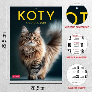 Kalendarz ścienny A4 KOTY A4 Press (5904830713381)