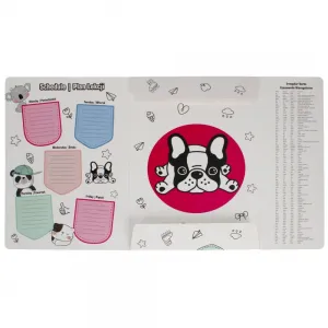 Teczka kartonowa na gumkę Starpak Minisy A4 kolor: mix (491062)