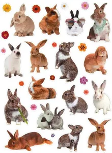 Naklejka (nalepka) Titanum Craft-Fun Series Rabbit