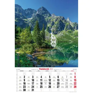 Kalendarz ścienny Avanti wieloplanszowy paskowy 285mm x 420mm (5901769620827)