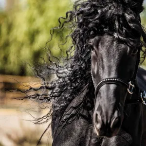 Kalendarz ścienny Avanti wieloplanszowy 300mm x 600mm (KAD-11)