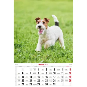 Kalendarz ścienny Avanti wieloplanszowy paskowy 285mm x 410mm (5901769621107)