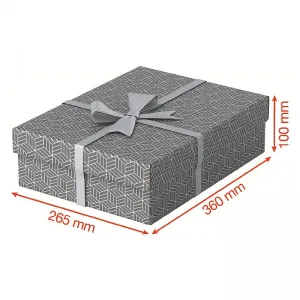 Pudło archiwizacyjne Esselte Home rozm. M płaskie - szare 260mm x 360mm x 100mm (628285)